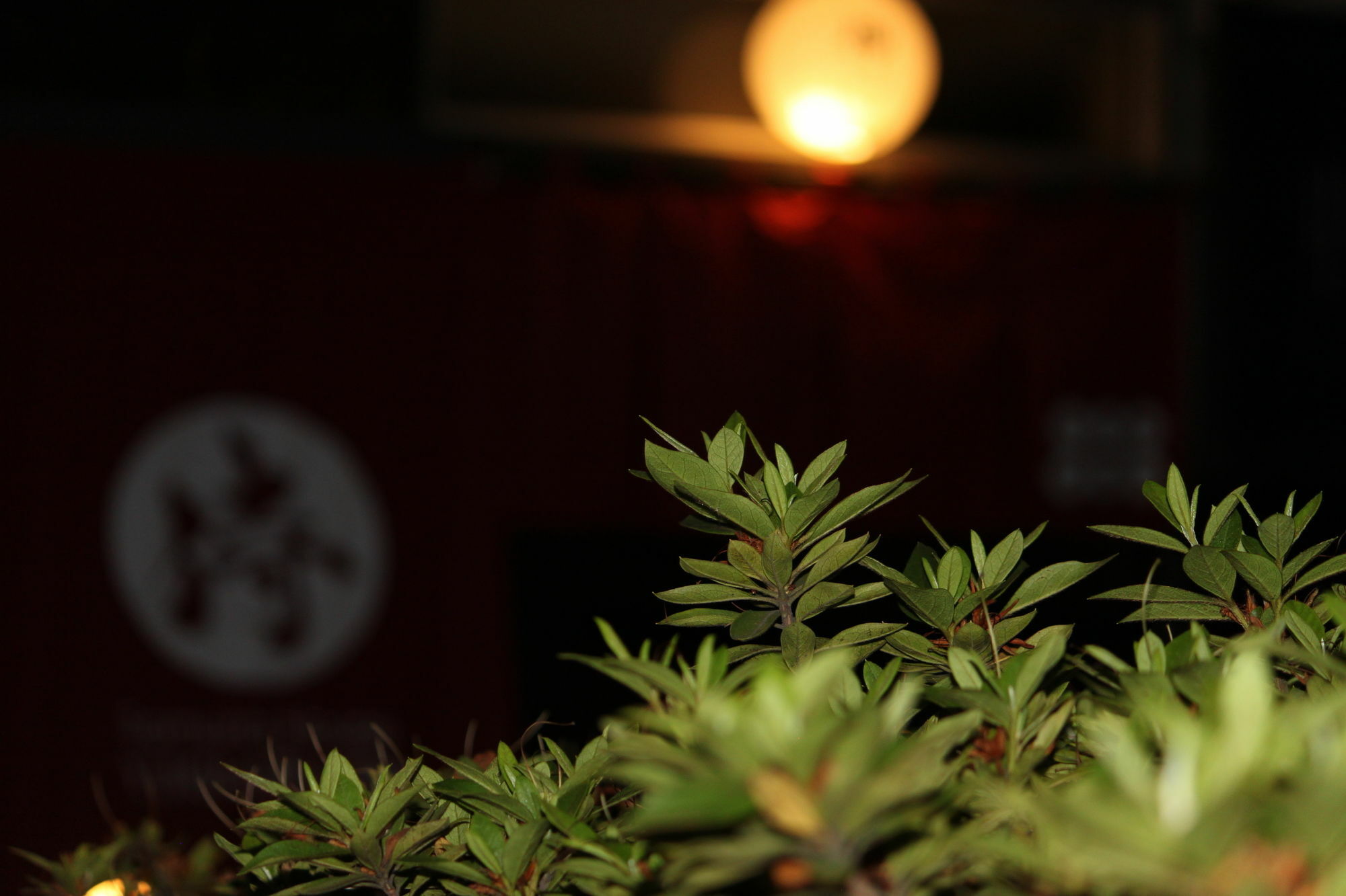 Samurai House Yukimura Tóquio Exterior foto